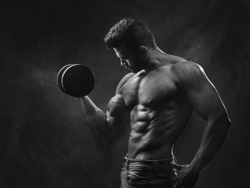 Can You Turn Fat In To Muscle?