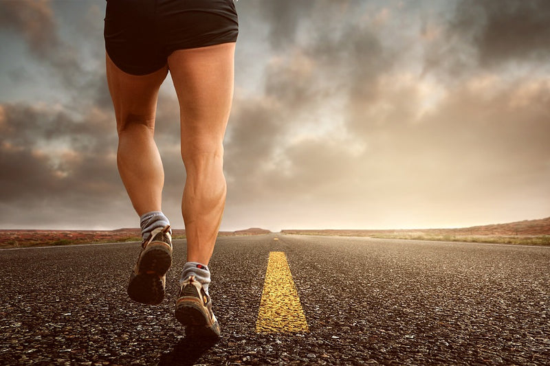 2018 Fitness Trends